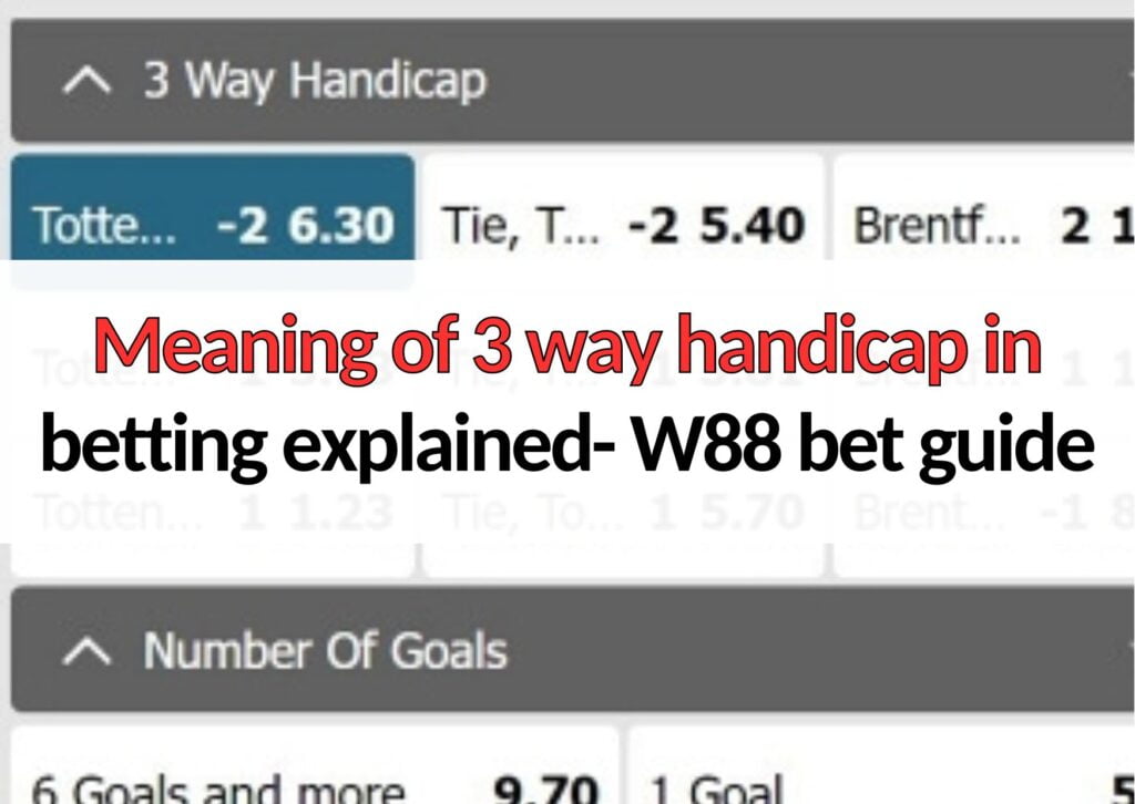 Meaning Of Way Handicap In Betting Explained W Bet Guide